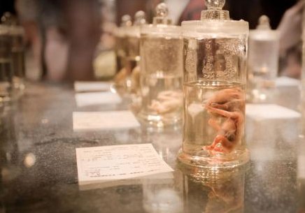 江苏卵巢早衰权威医院名单公布，2026试管助孕价格标准详解